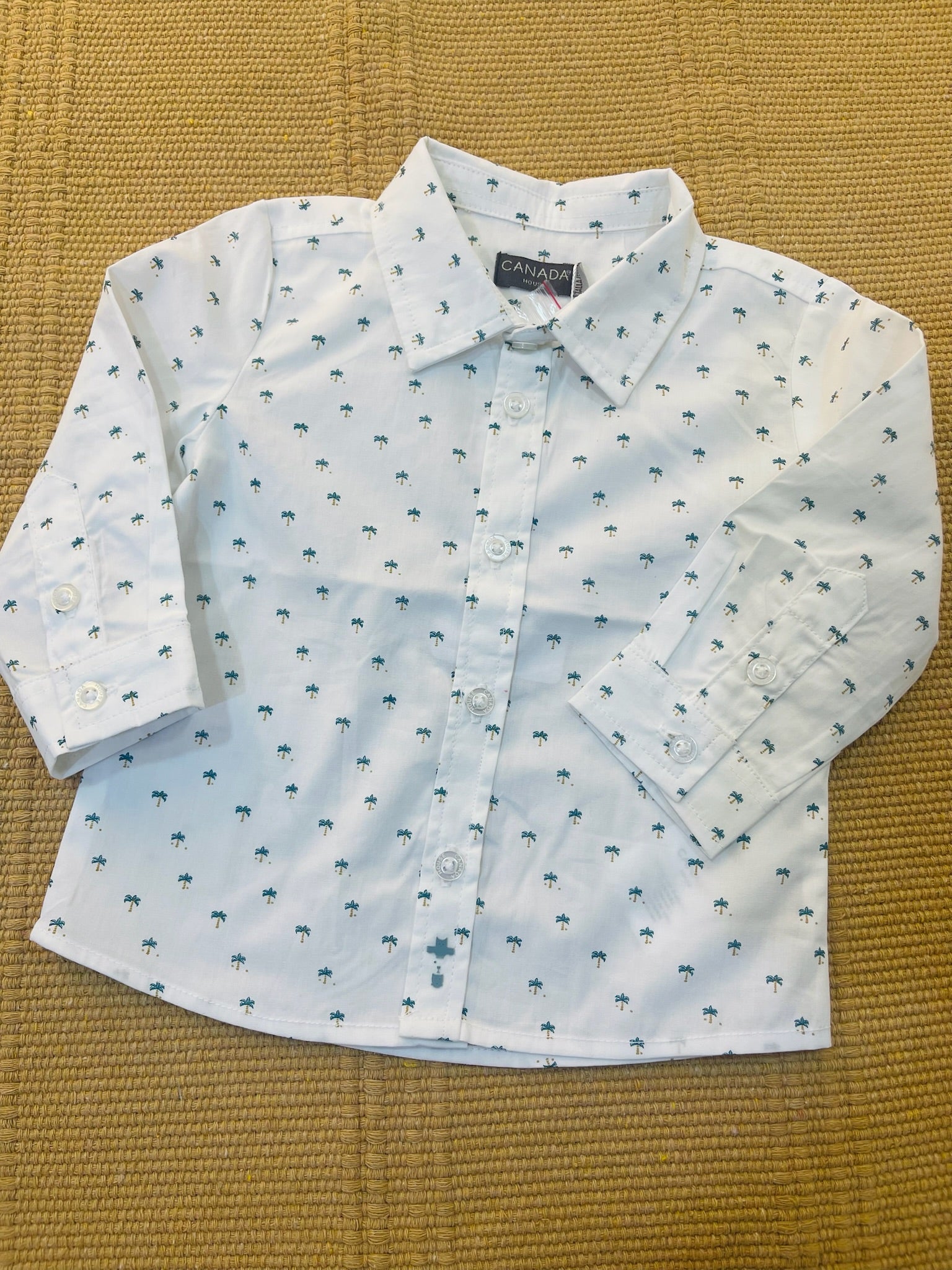 Camicia palme